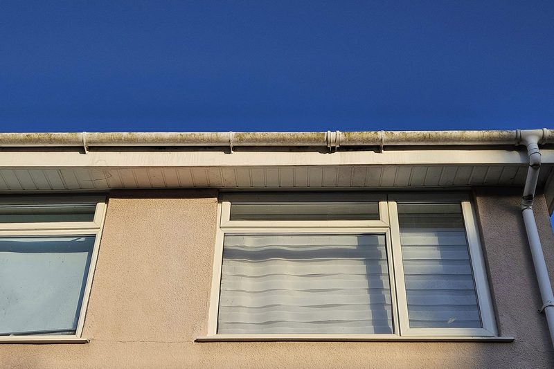 Guttering and soffits streaked with moss and green algae.